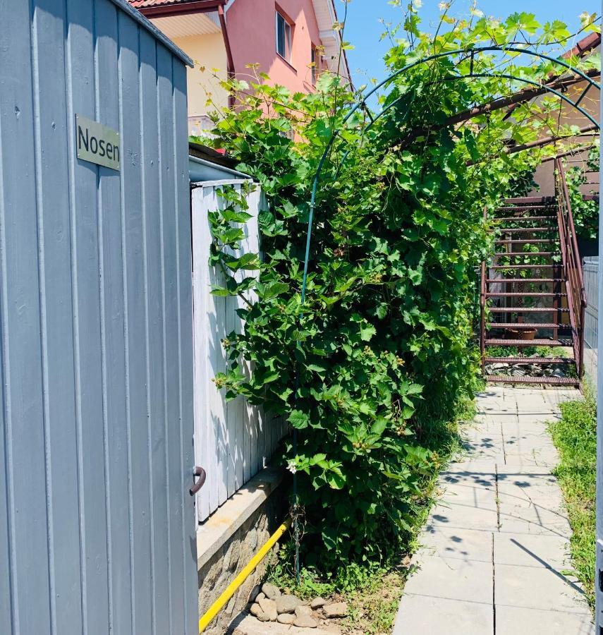Nosen Apartment Bistriţa 외부 사진